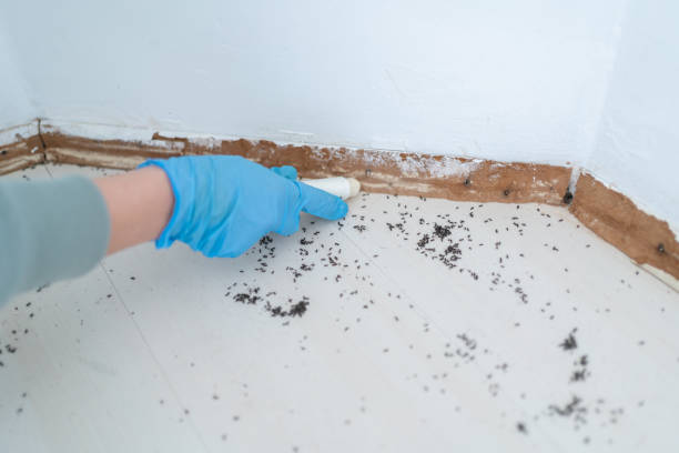 Best Best Pest Control Companies  in Tracy, CA